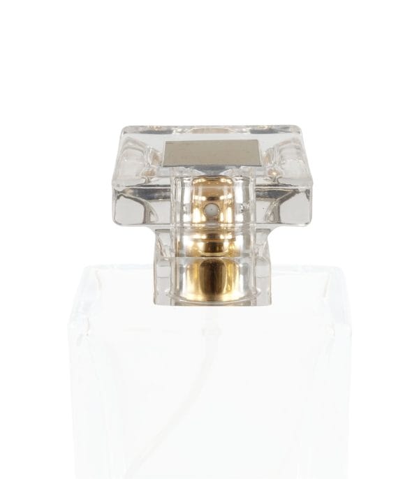 Bp003.oc.clear&gold